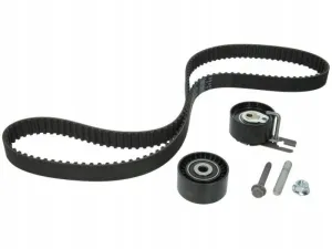 Zestaw paska rozrządu INA CITROËN C3/C3 PLURIE 530023910